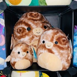 Squishmallows Edmund the Pterodactyl 12" 8" 5"